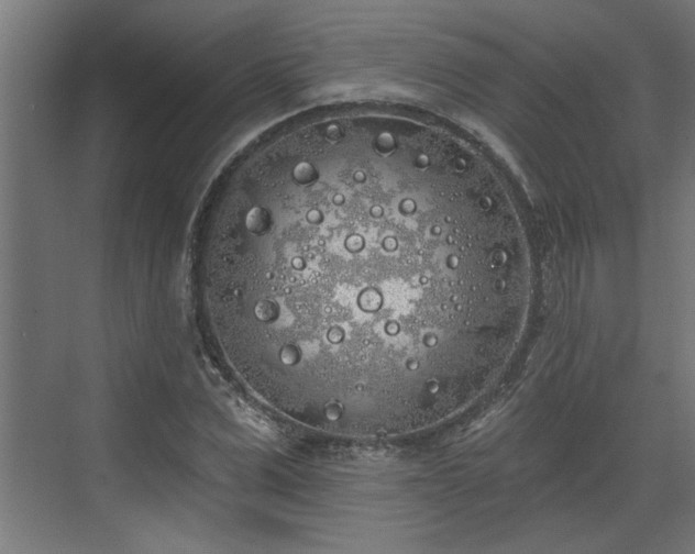 X0000072510975200607211353