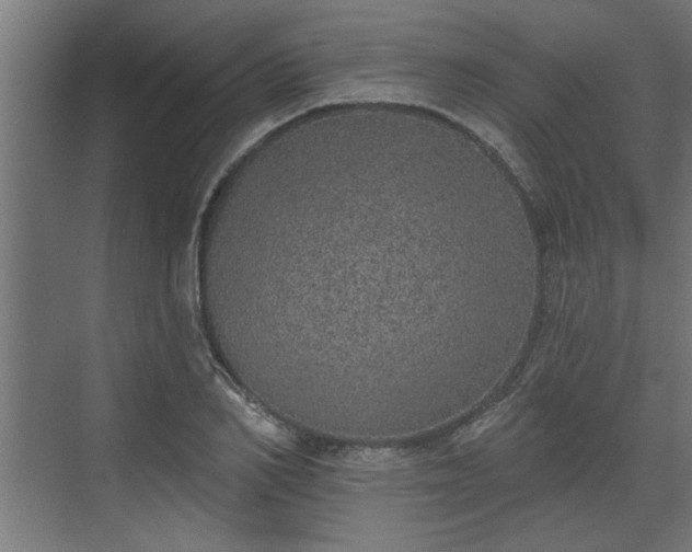 X0000072510982200607211353