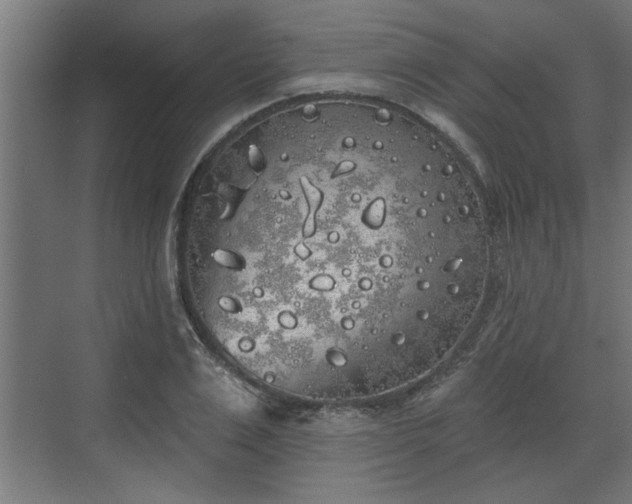 X0000072510983200607211353