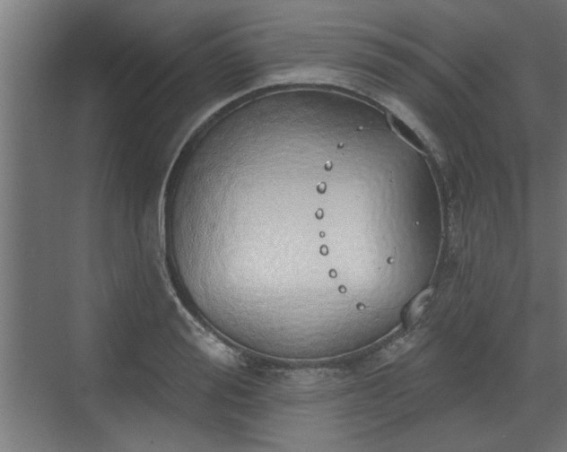 X0000072510988200607211353