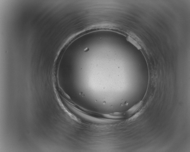 X0000072510989200607211353