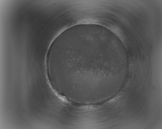 X0000072510990200607211353