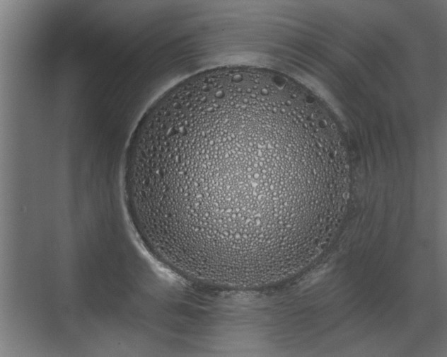 X0000072510991200607211353