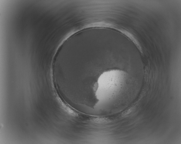 X0000072510998200607211352