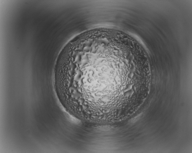 X0000072510999200607211352