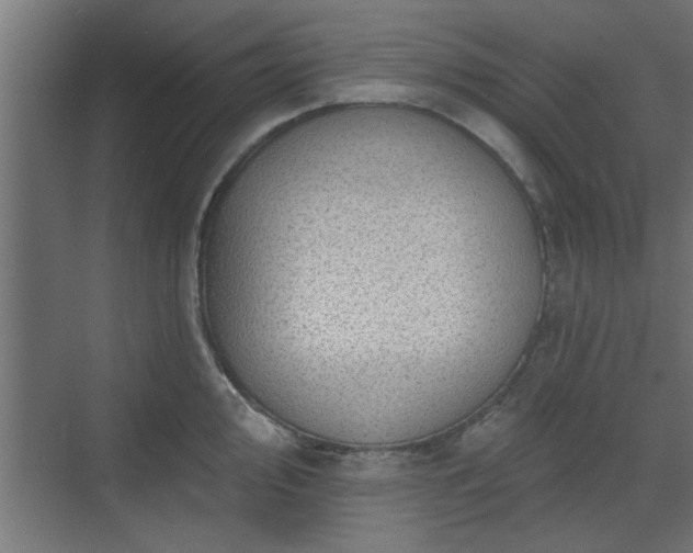 X0000072511000200607211352