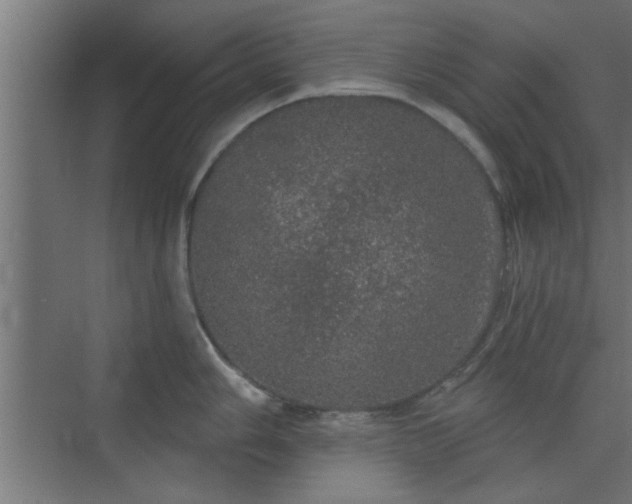 X0000072511006200607211352