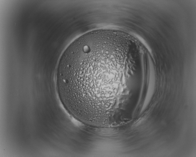 X0000072511007200607211352