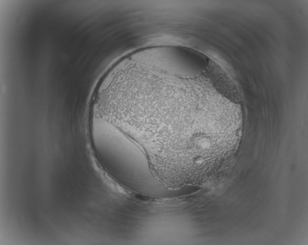 X0000072511008200607211352