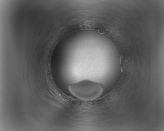 X0000072511009200607211352