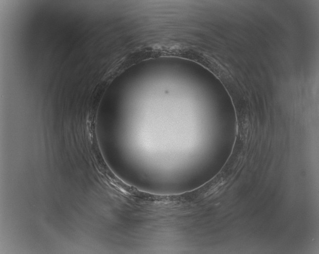 X0000072511010200607211352