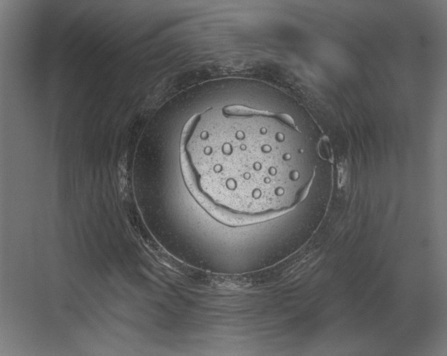 X0000072511011200607211352