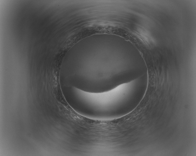 X0000072511013200607211352