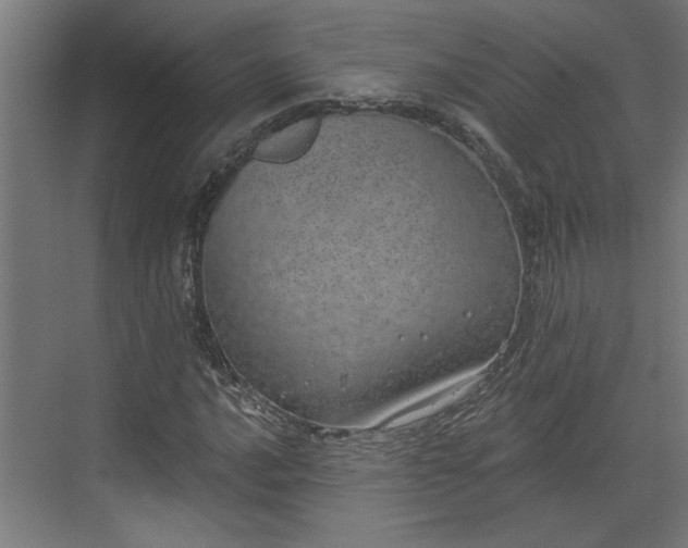 X0000072511016200607211352