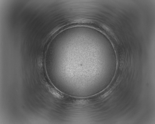 X0000072511017200607211352