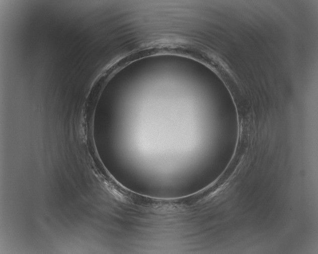 X0000072511018200607211352