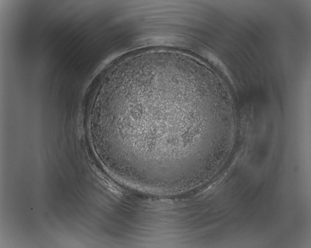 X0000072511019200607211352