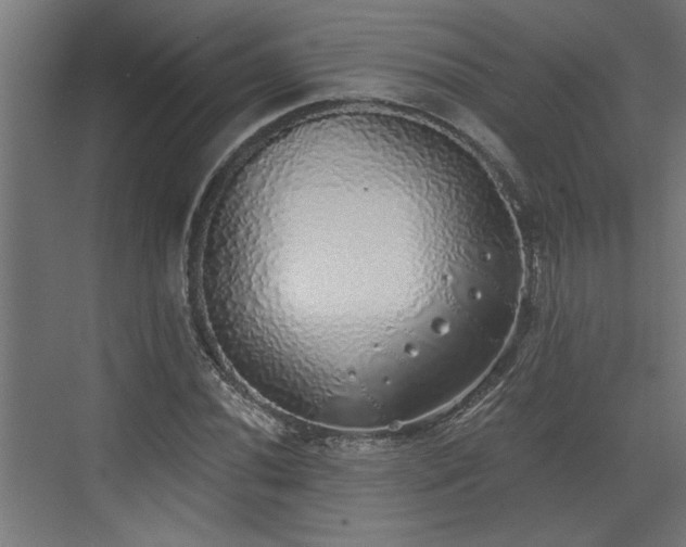 X0000072511020200607211352