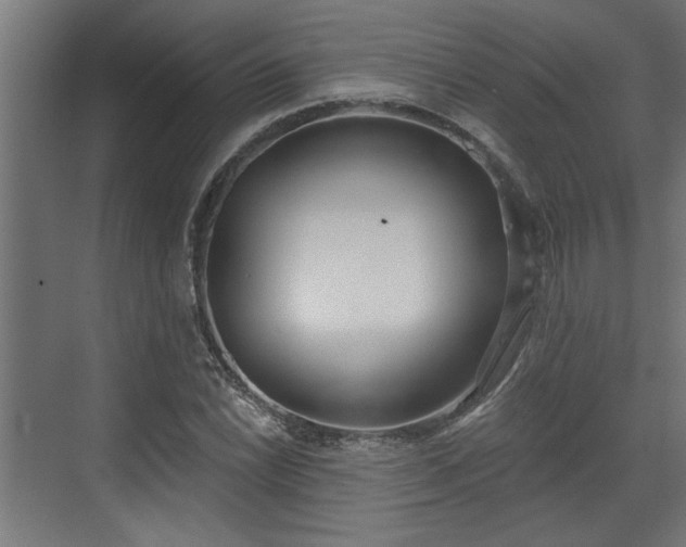 X0000072511022200607211352