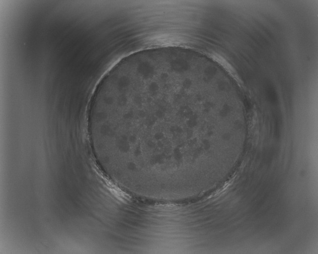 X0000072511023200607211352