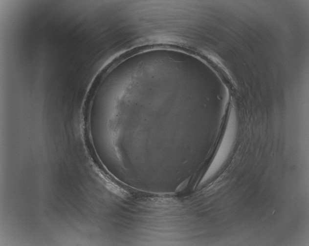 X0000072511024200607211352