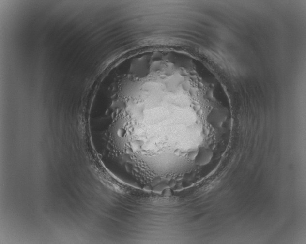 X0000072511025200607211352