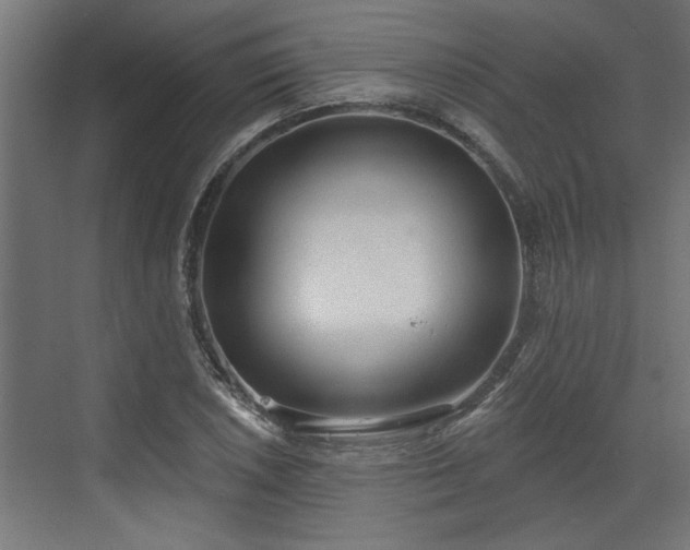 X0000072511026200607211352