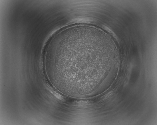 X0000072511027200607211352