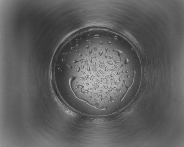 X0000072511028200607211352