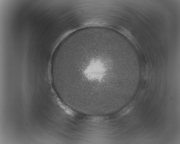 X0000072511030200607211352