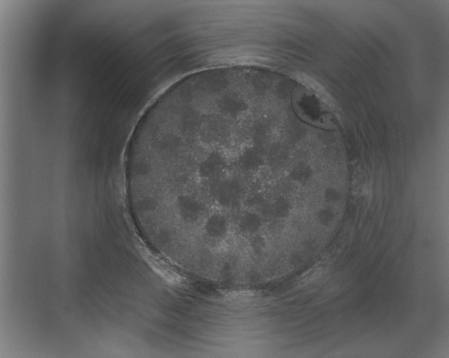 X0000072511031200607211352