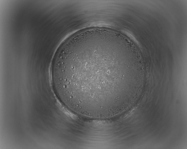 X0000072511032200607211352