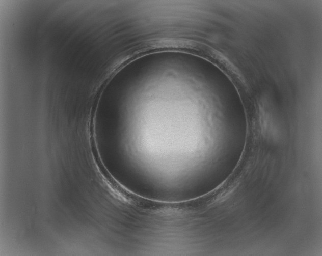 X0000072511033200607211352