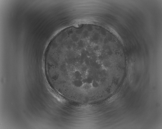 X0000072511035200607211352