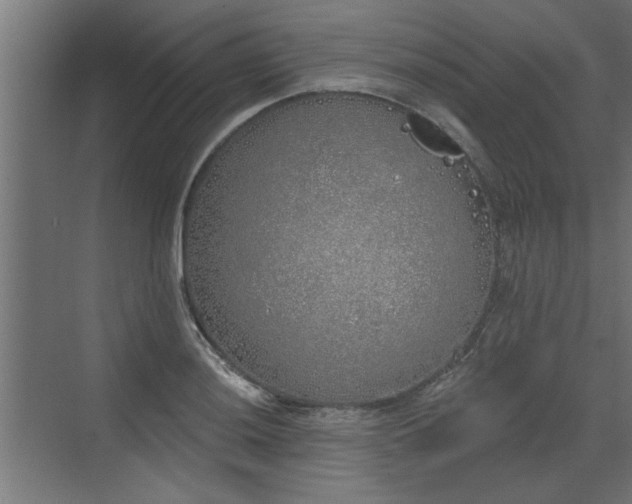 X0000072511036200607211352