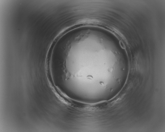 X0000072511037200607211352