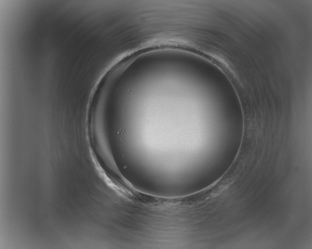 X0000072511038200607211352