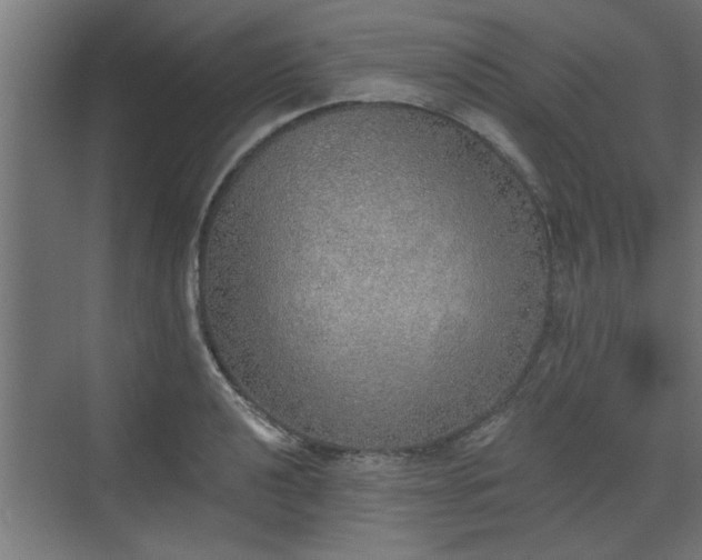 X0000072511040200607211352