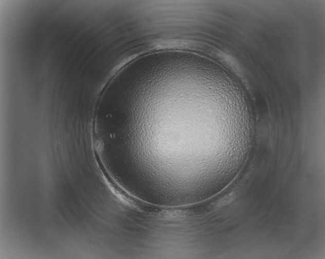 X0000072511041200607211352