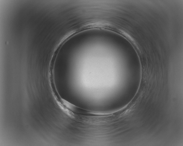 X0000072511042200607211352