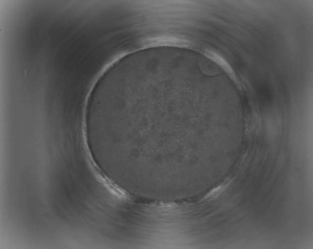 X0000072511043200607211352