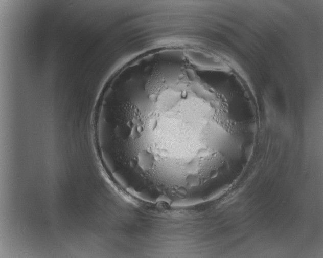 X0000072511045200607211352