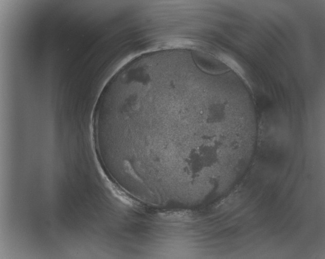 X0000072511047200607211352