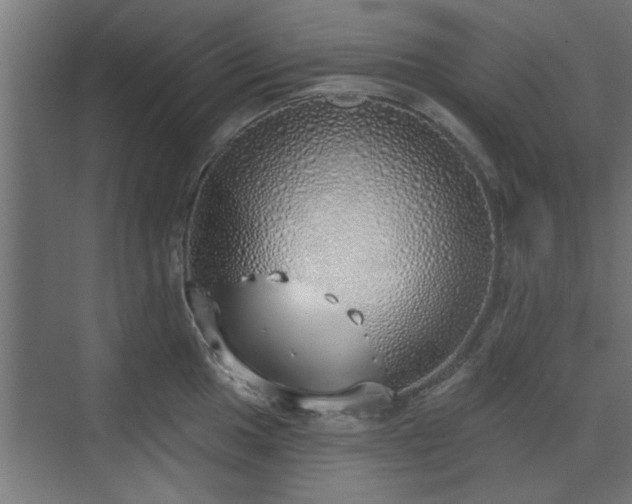 X0000072511049200607211352