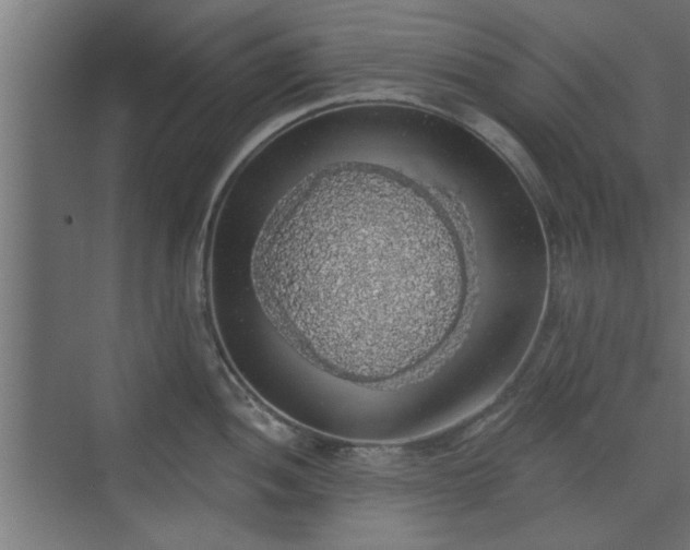 X0000072511052200607211352