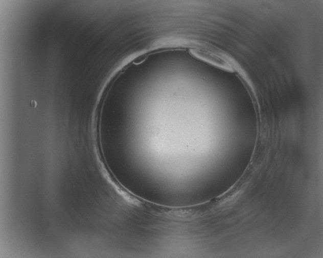 X0000072511053200607211352