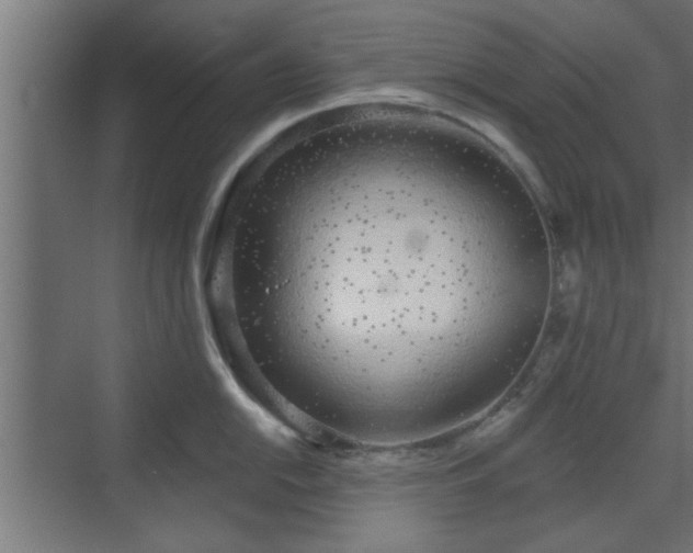 X0000072511054200607211352