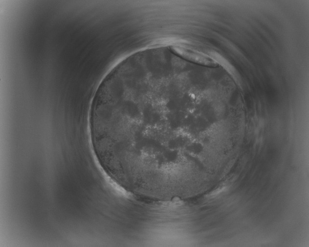 X0000072511055200607211352