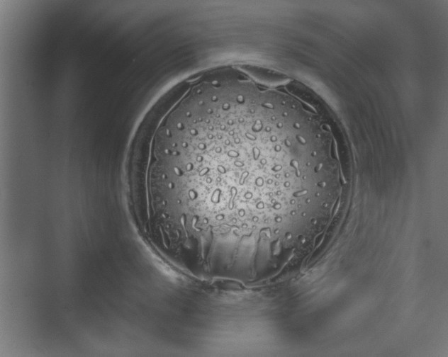 X0000072511056200607211352