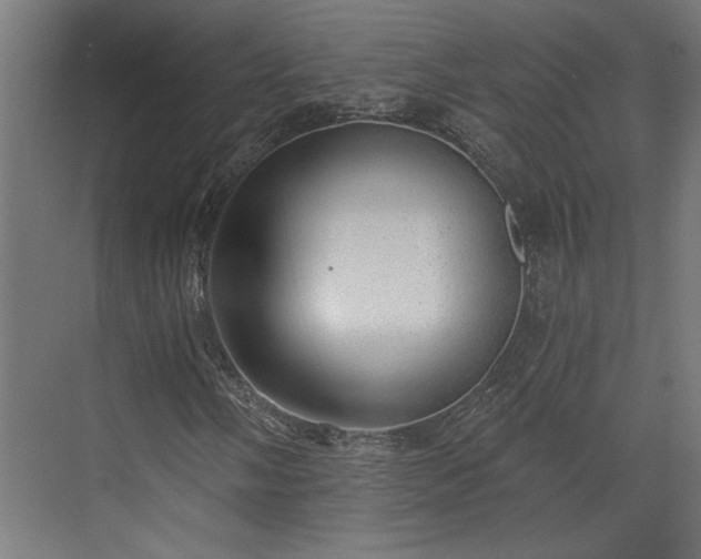 X0000072511058200607211351